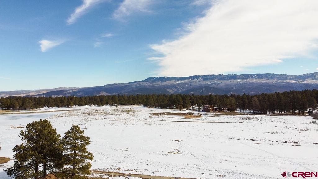 524 South Badger Trail Ridgway, CO 81432 - Photo 35 of 41