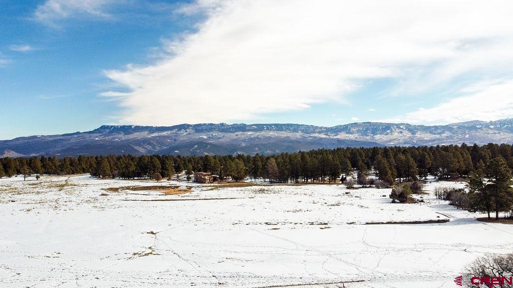 524 South Badger Trail Ridgway, CO 81432 - Photo 36 of 41