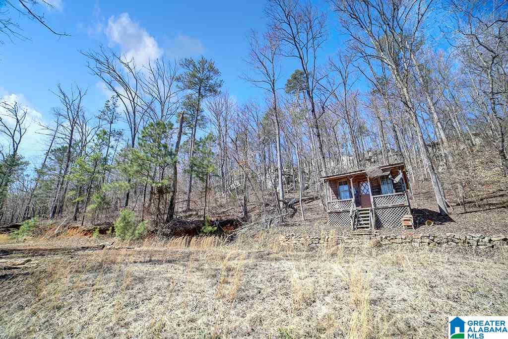 39080 Highway 231 Steele, AL 35987 - Photo 28 of 37