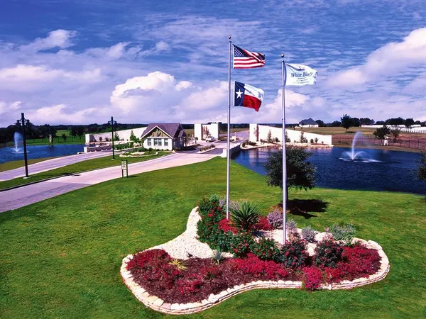 a view of a garden