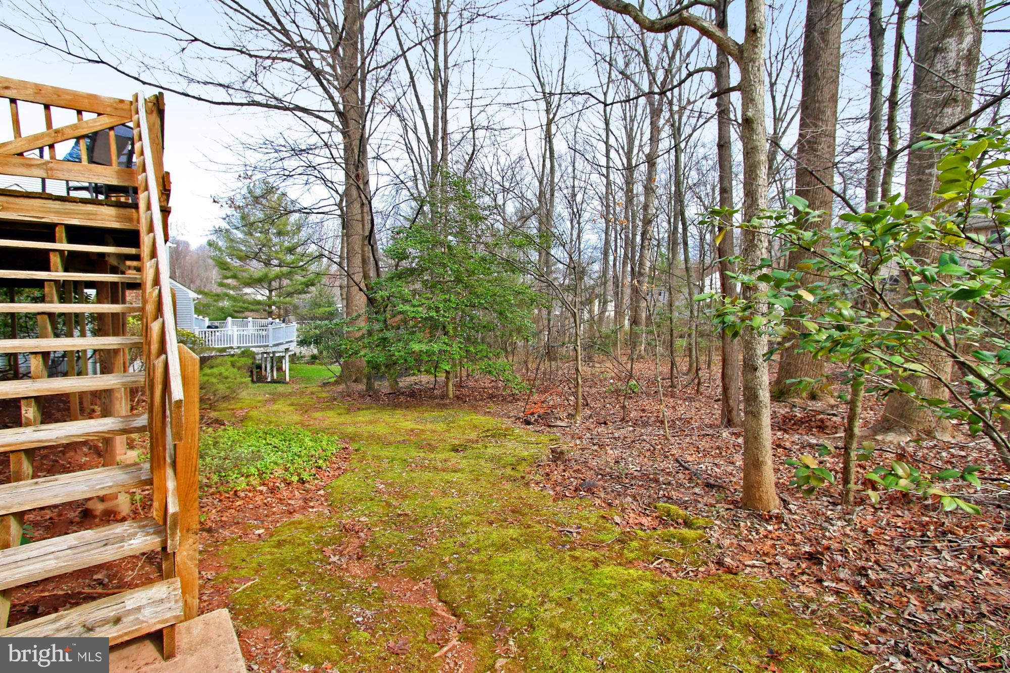 2211 Quartermaster Lane Reston, VA 20191 - Photo 40 of 49 Steps down from the Deck to Enjoy the Great Yard!
