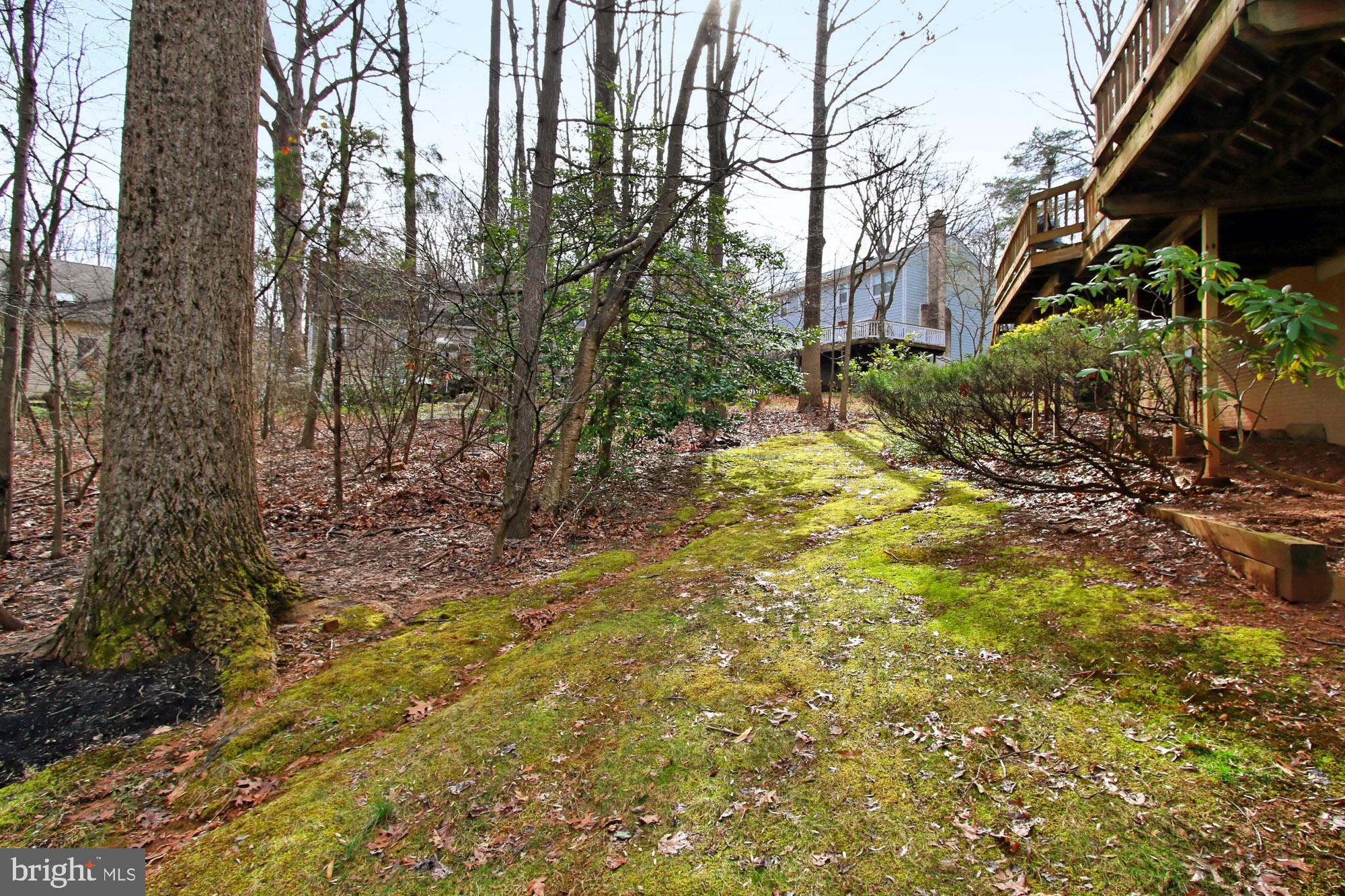 2211 Quartermaster Lane Reston, VA 20191 - Photo 43 of 49 Private wooded area