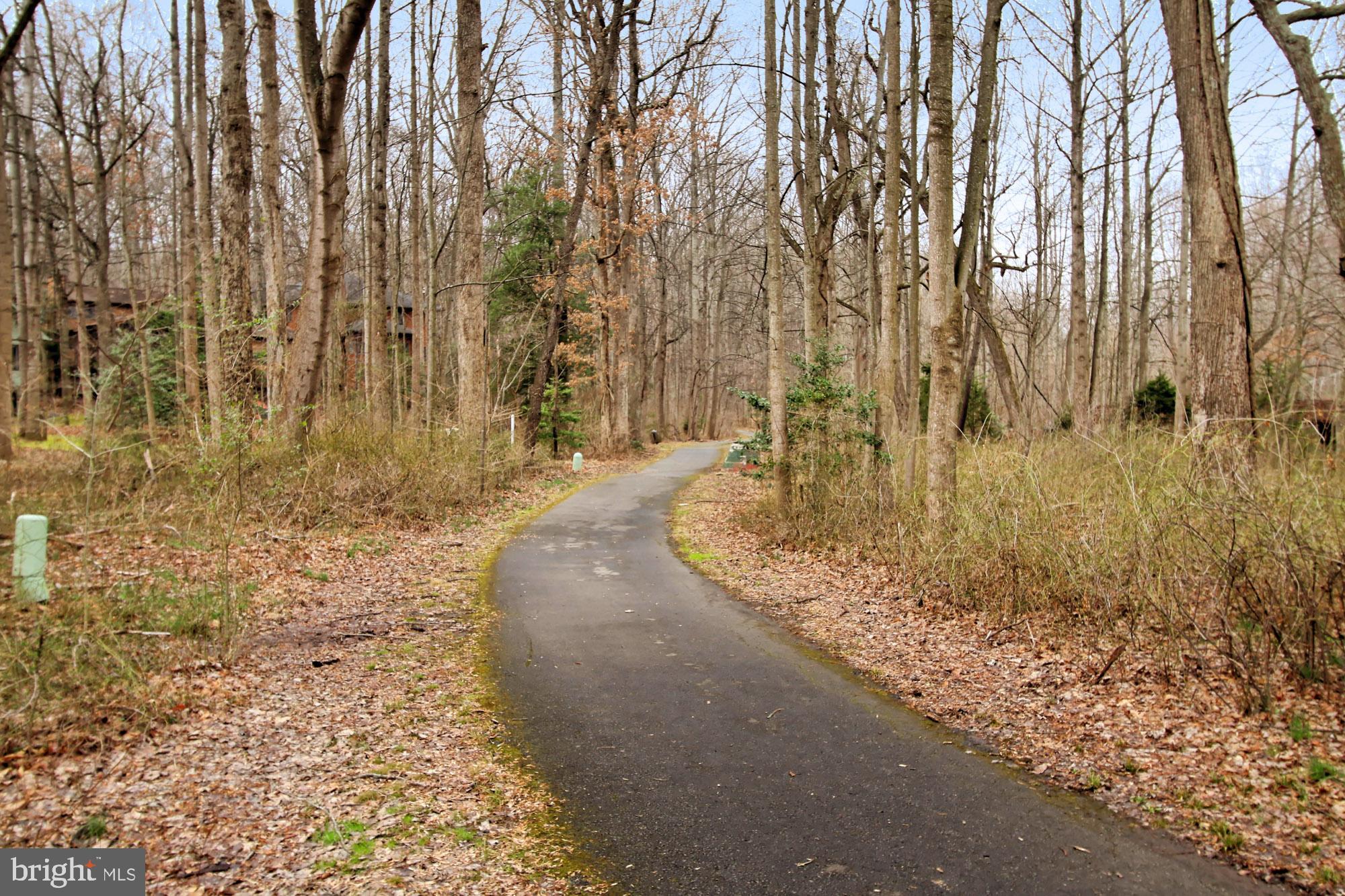 2211 Quartermaster Lane Reston, VA 20191 - Photo 47 of 49 Walking paths take you around the lake and beyond!