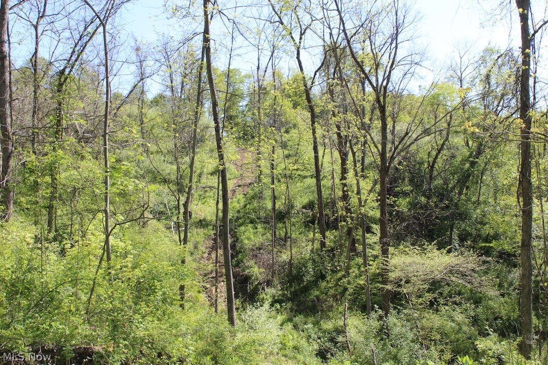 71750 Muntz Road Flushing, OH 43977 - Photo 20 of 26 Gallery Image 20