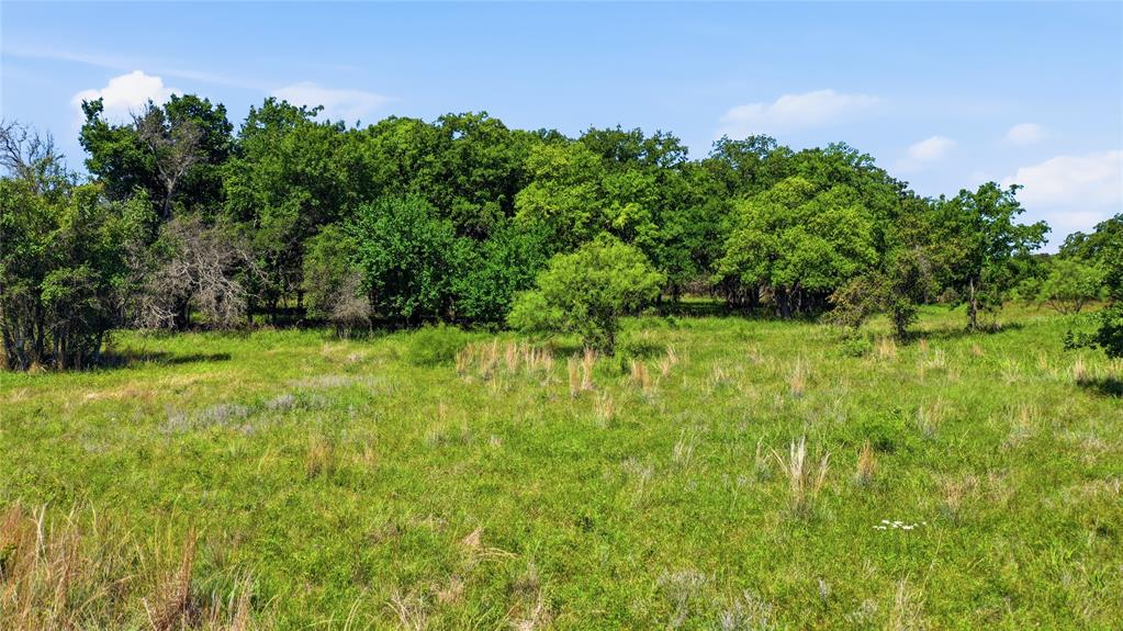 Tbd-a Cornerstone Road Poolville, TX 76487 - Photo 5 of 7