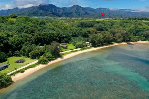 a table with some potted plants by side of it