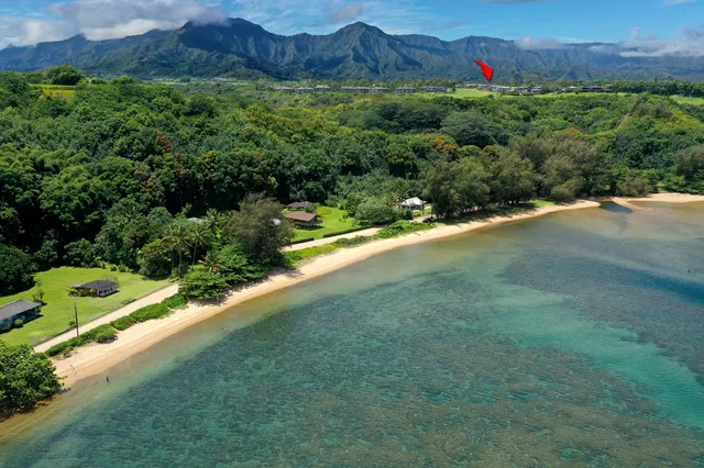 a table with some potted plants by side of it