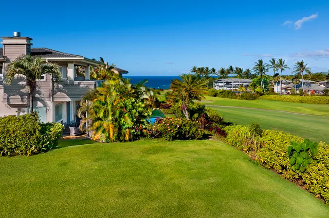 a view of a big room with a big yard and potted plants