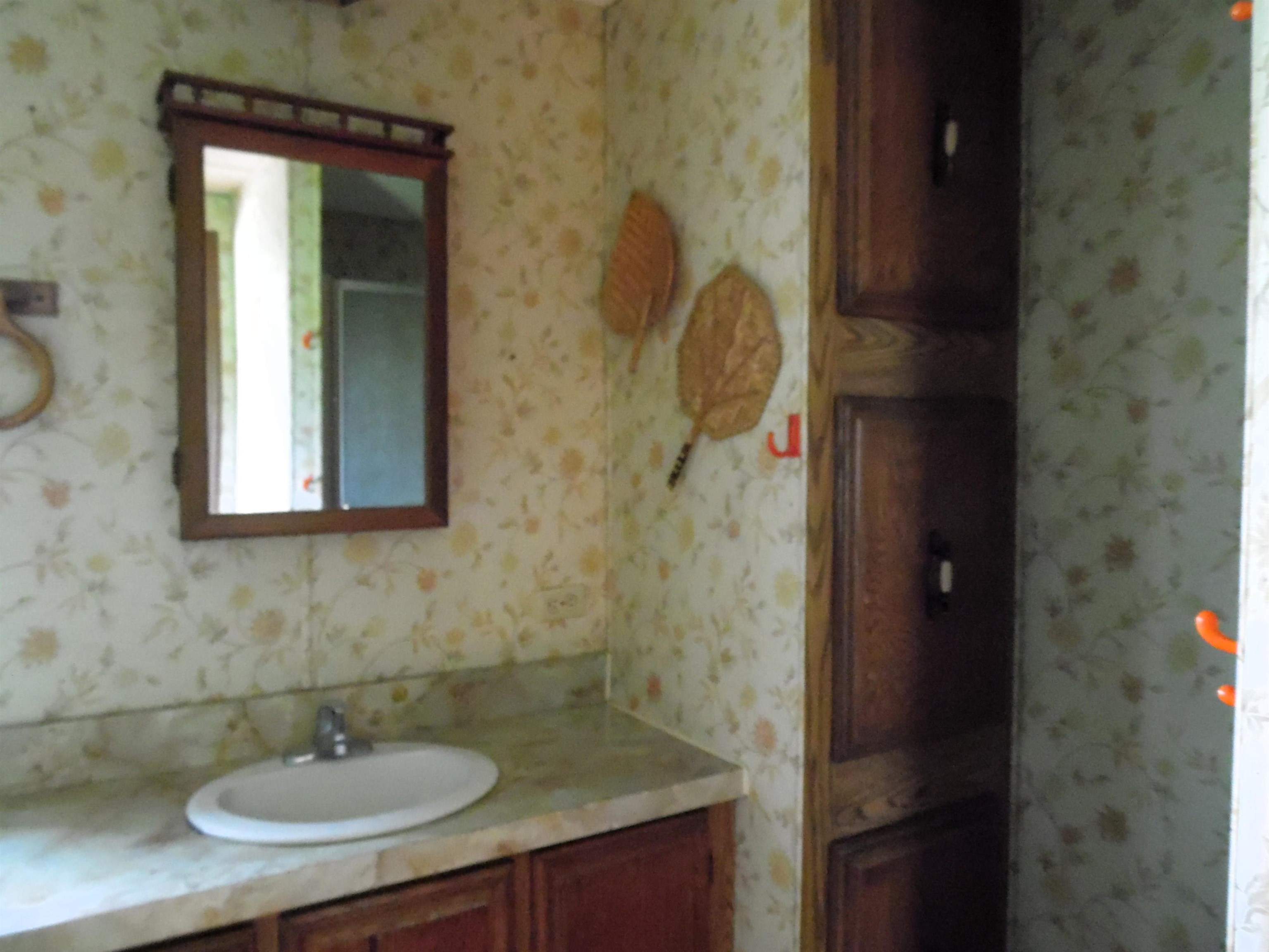 811 Graham Road Coleman, MI 48618 - Photo 27 of 78