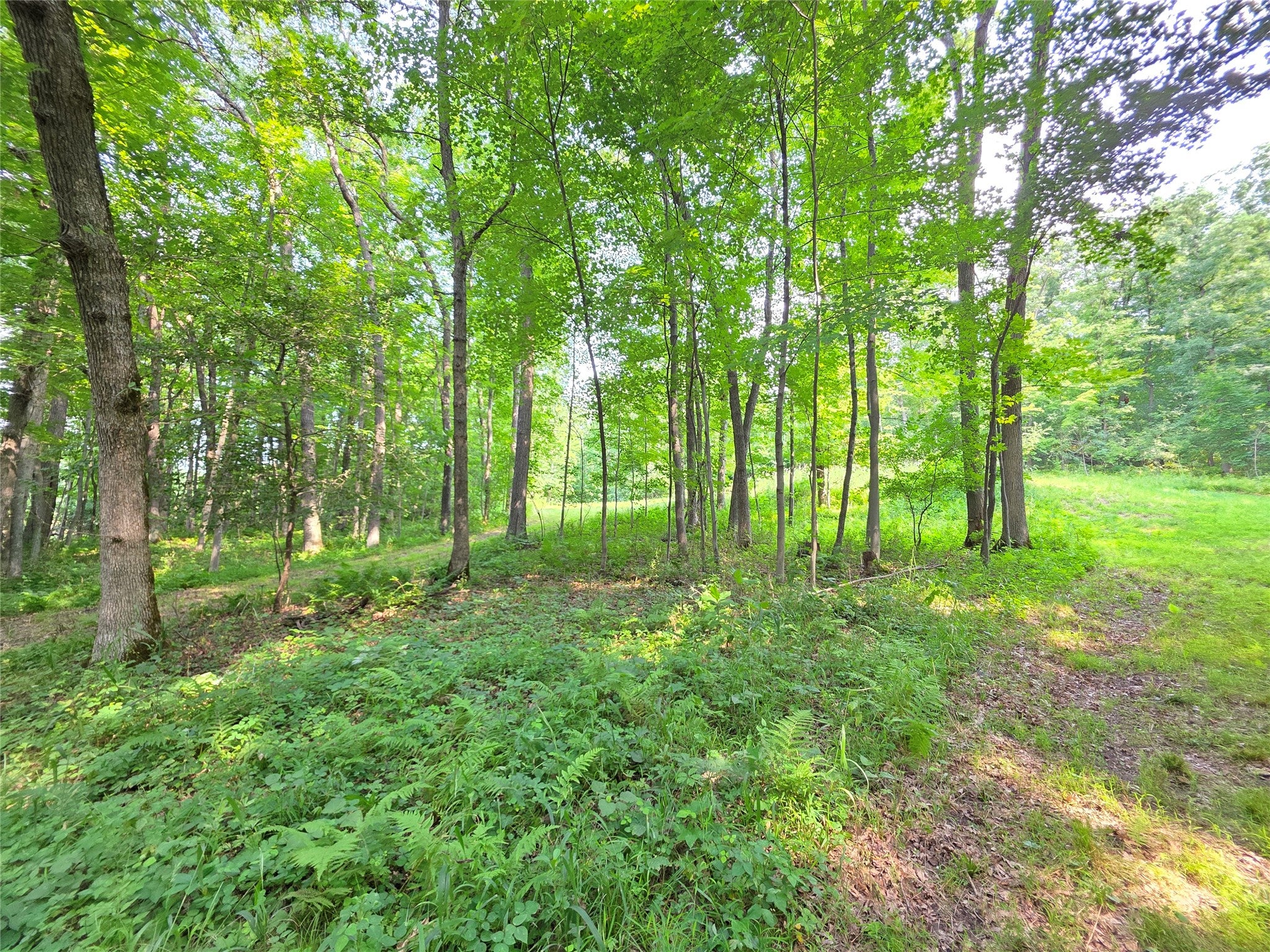 Lot 0 County Road Colfax, WI 54730 - Photo 15 of 25 Gallery Image 15