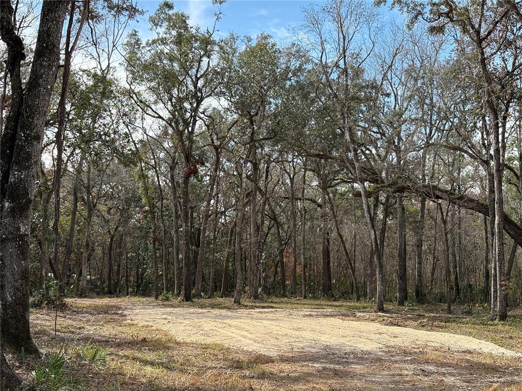 Lake Lindsey Road Brooksville, FL 34601 - Photo 1 of 34 a view of space with trees