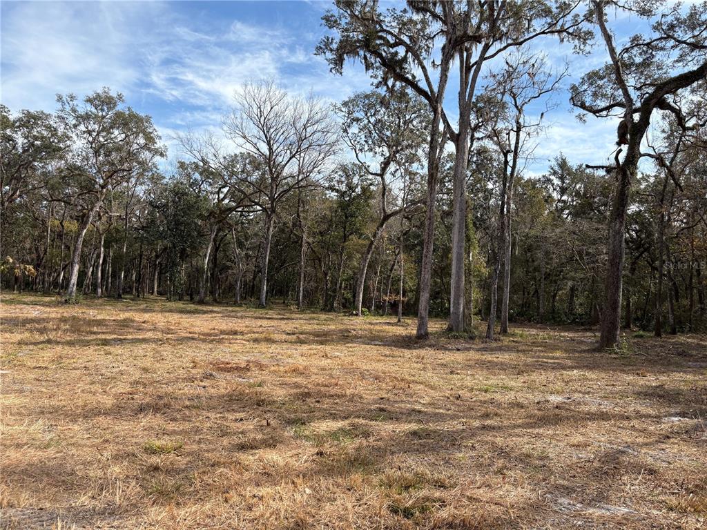 Lake Lindsey Road Brooksville, FL 34601 - Photo 14 of 34 a view of outdoor space with trees