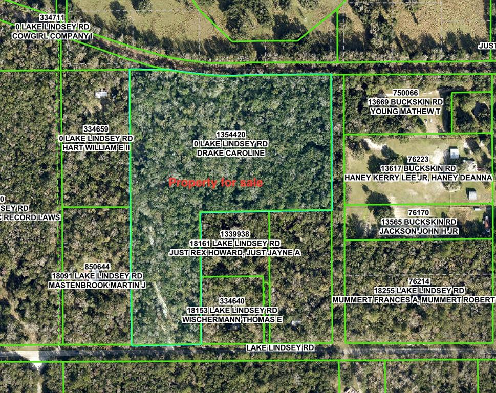 Lake Lindsey Road Brooksville, FL 34601 - Photo 18 of 34 an aerial view of a city