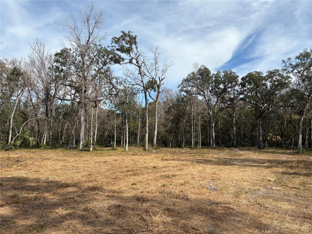 Lake Lindsey Road Brooksville, FL 34601 - Photo 2 of 34 a big yard with trees
