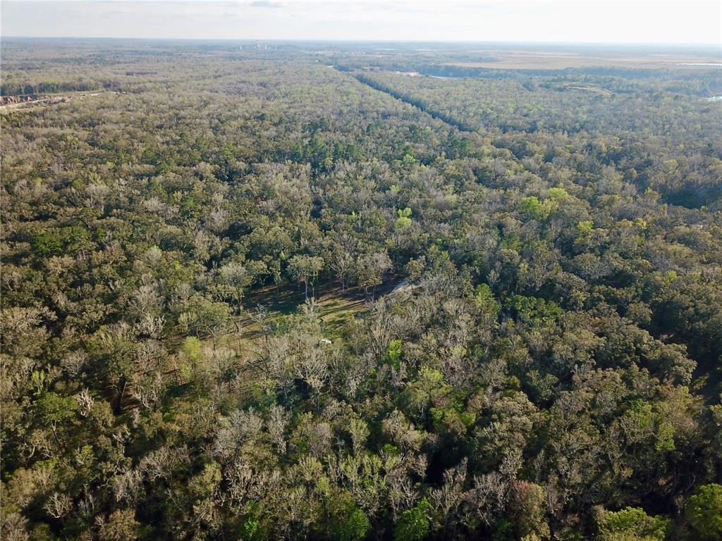 Lake Lindsey Road Brooksville, FL 34601 - Photo 21 of 34