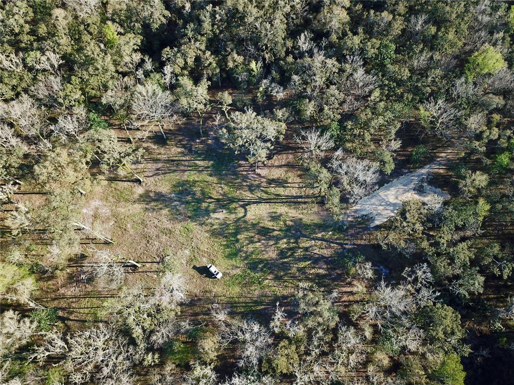 Lake Lindsey Road Brooksville, FL 34601 - Photo 23 of 34 a view of a tree