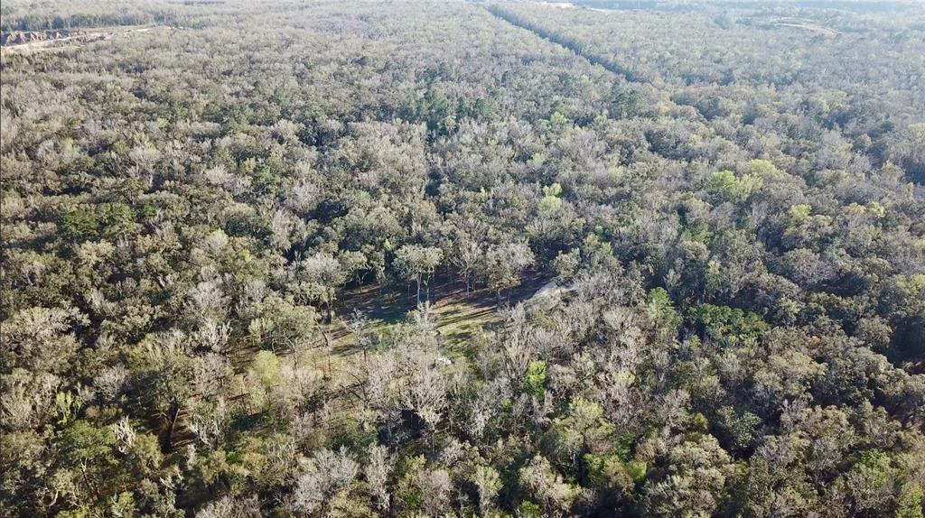 Lake Lindsey Road Brooksville, FL 34601 - Photo 25 of 34 a view of a covered with green space