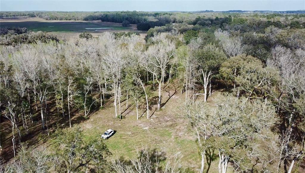 Lake Lindsey Road Brooksville, FL 34601 - Photo 29 of 34 a view of a yard with a tree
