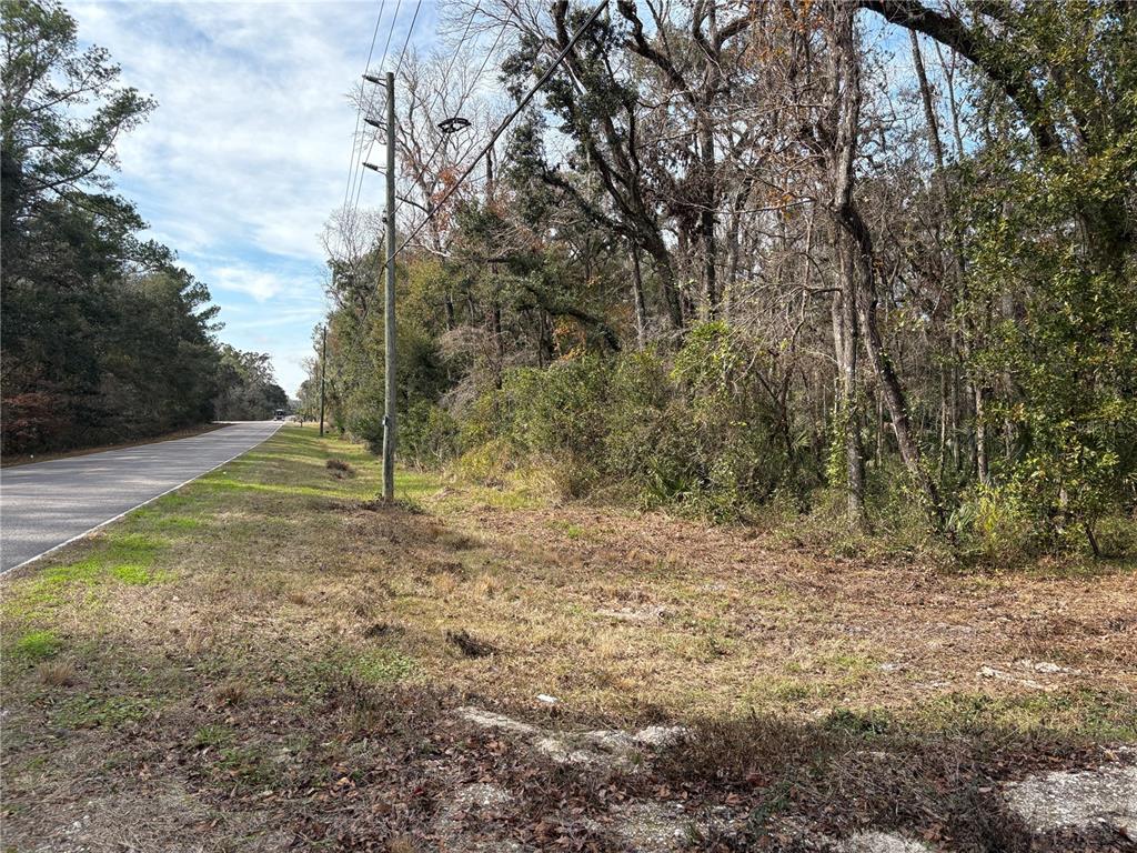 Lake Lindsey Road Brooksville, FL 34601 - Photo 3 of 34 a view of a backyard