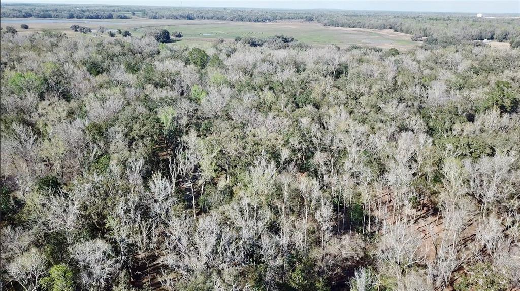 Lake Lindsey Road Brooksville, FL 34601 - Photo 32 of 34 a view of a field with trees in background