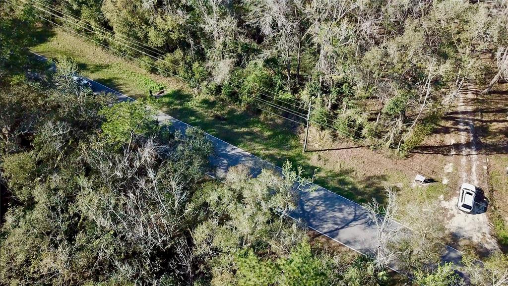 Lake Lindsey Road Brooksville, FL 34601 - Photo 33 of 34 a view of a forest with a tree