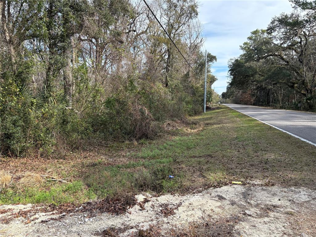 Lake Lindsey Road Brooksville, FL 34601 - Photo 4 of 34 a big yard with lots of green space