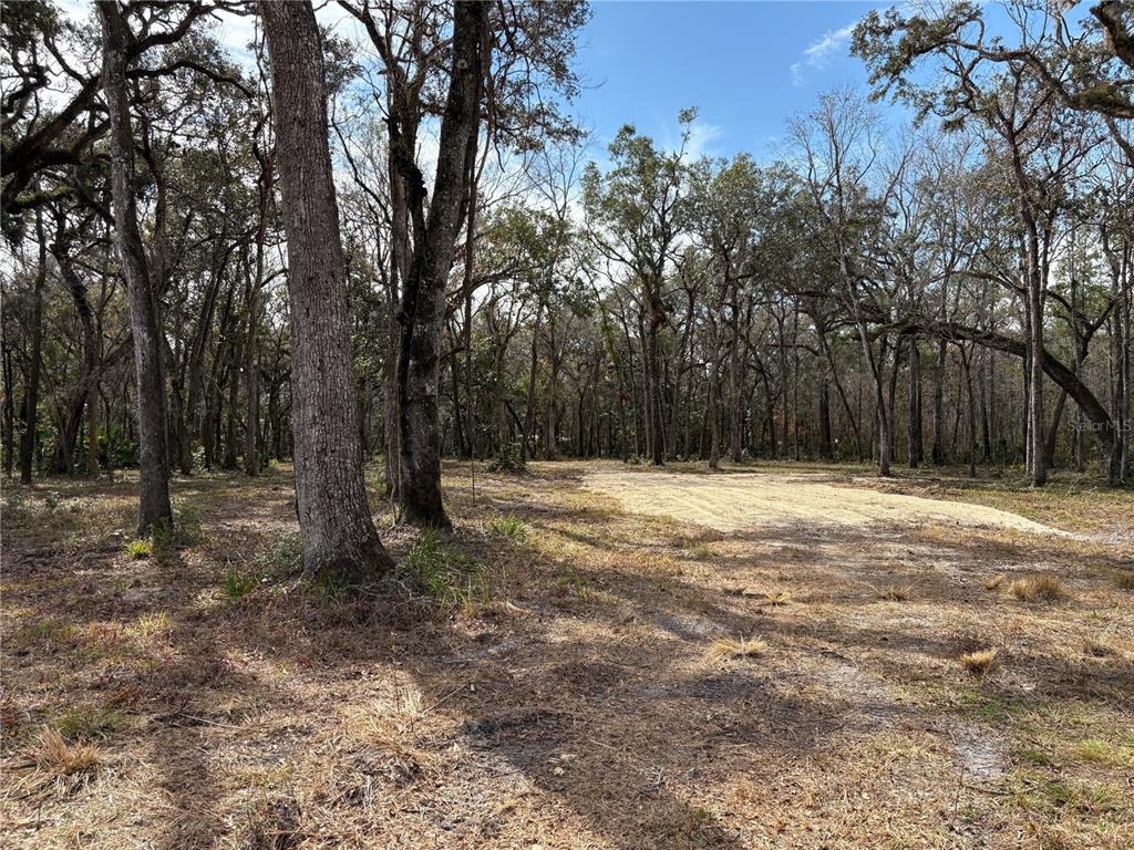 Lake Lindsey Road Brooksville, FL 34601 - Photo 10 of 34 a house with trees in the back yard