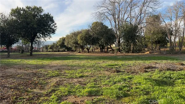 a view of outdoor space with trees all around