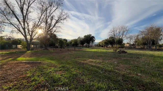 a view of yard with green space