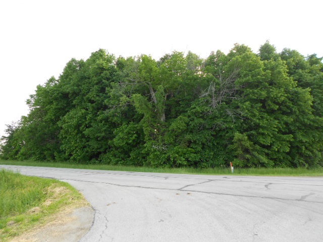 -tbd South Warren Road Huntington, IN 46750 - Photo 1 of 8 Gallery Image 1