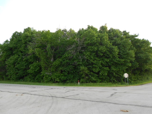 -tbd South Warren Road Huntington, IN 46750 - Photo 3 of 8 Gallery Image 3