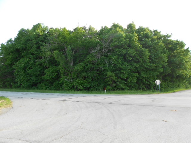 -tbd South Warren Road Huntington, IN 46750 - Photo 4 of 8 Gallery Image 4