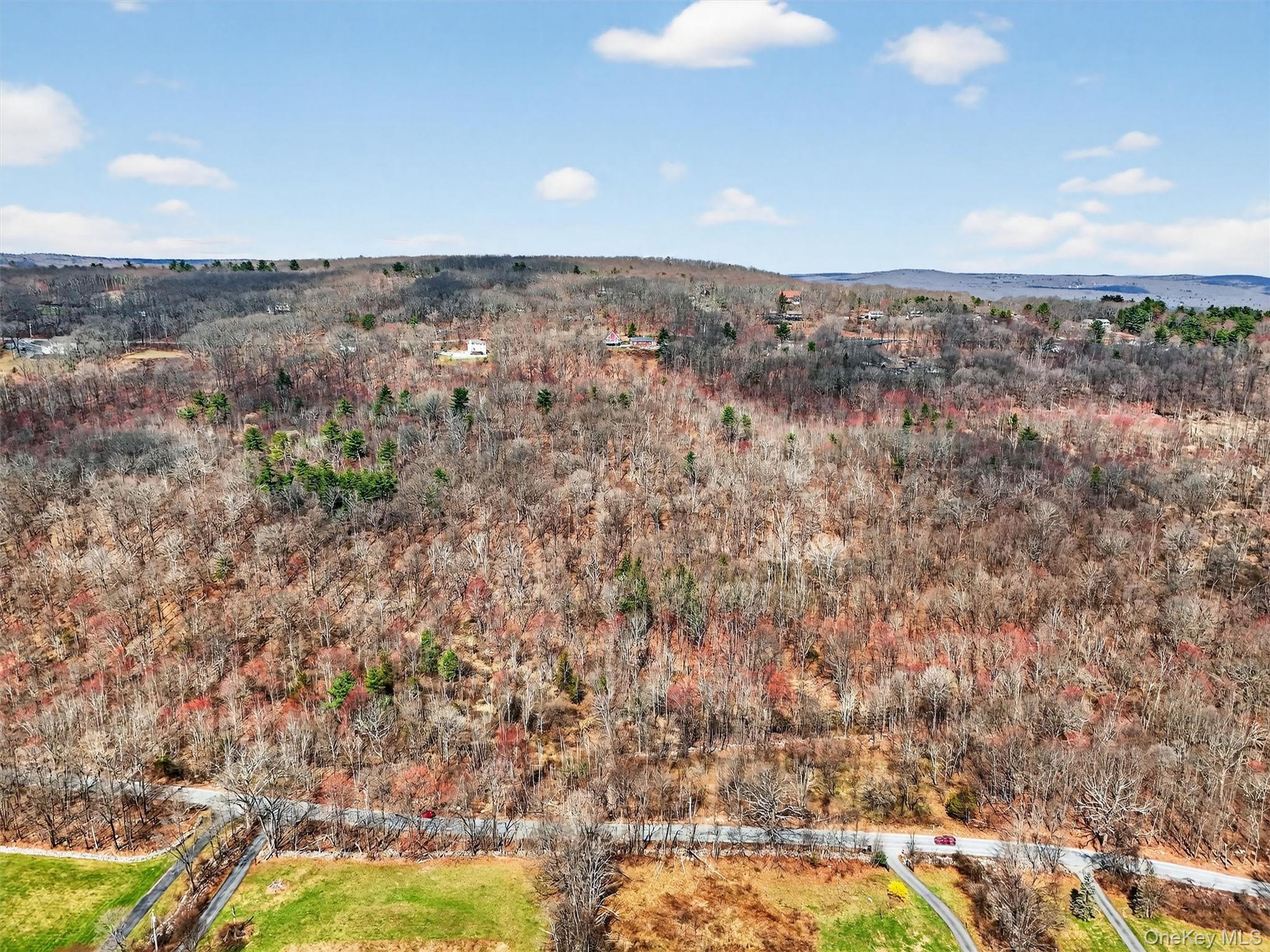 Horton Road Bloomingburg, NY 12721 - Photo 2 of 9