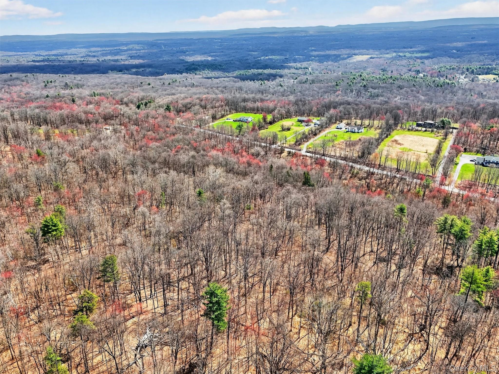 Horton Road Bloomingburg, NY 12721 - Photo 4 of 9