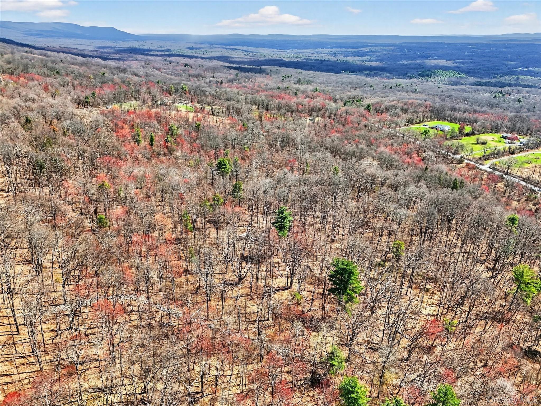 Horton Road Bloomingburg, NY 12721 - Photo 5 of 9