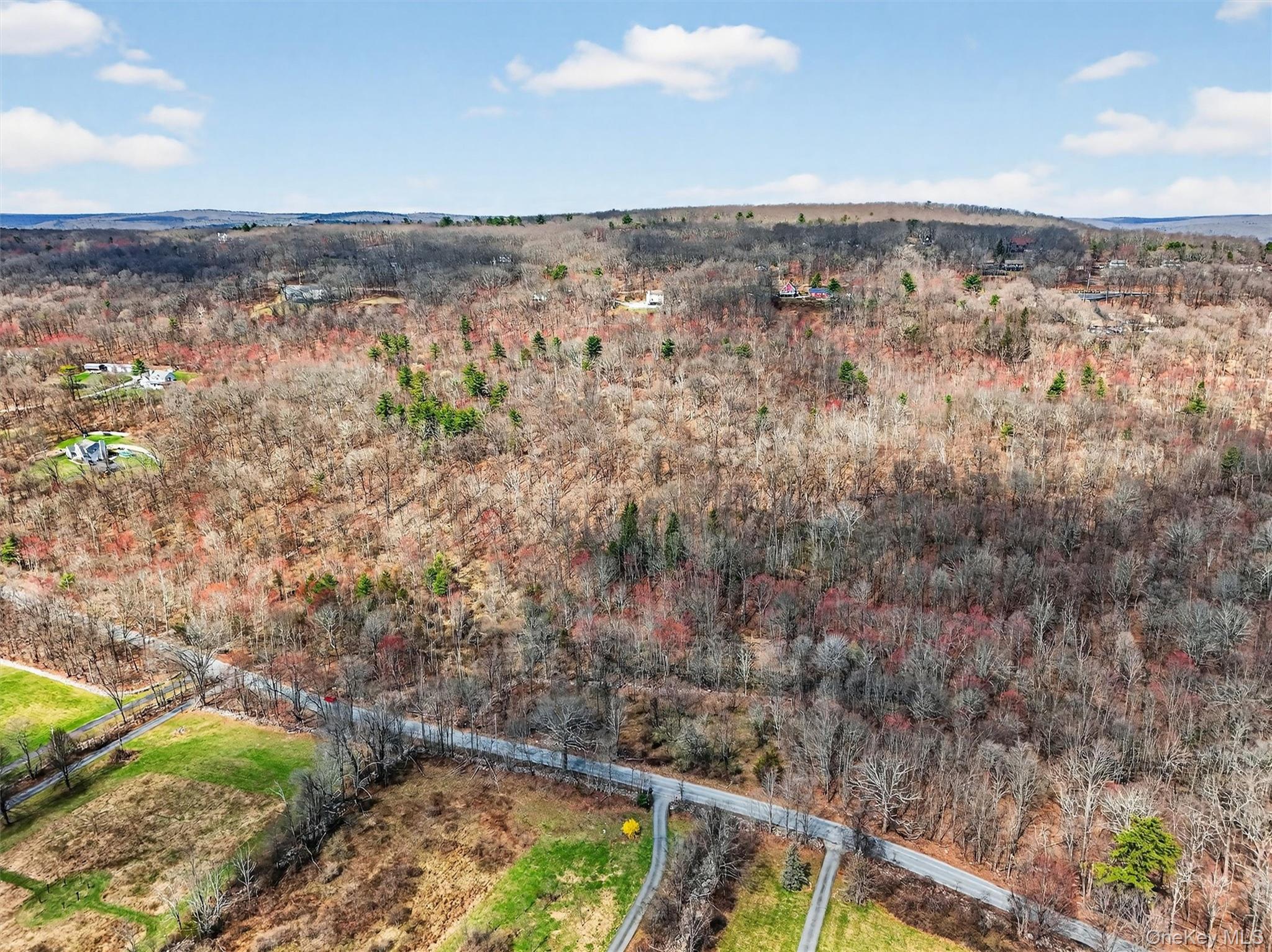 Horton Road Bloomingburg, NY 12721 - Photo 6 of 9