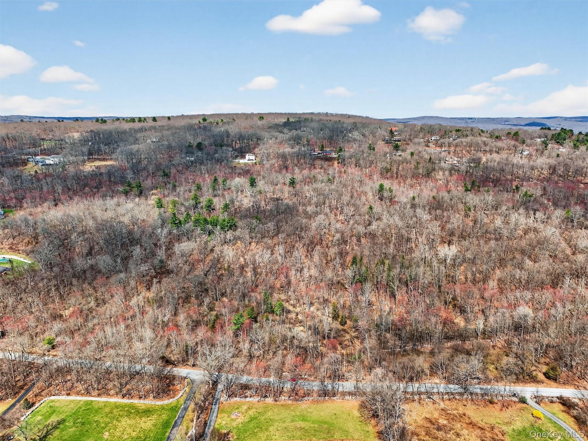 Horton Road Bloomingburg, NY 12721 - Photo 7 of 9