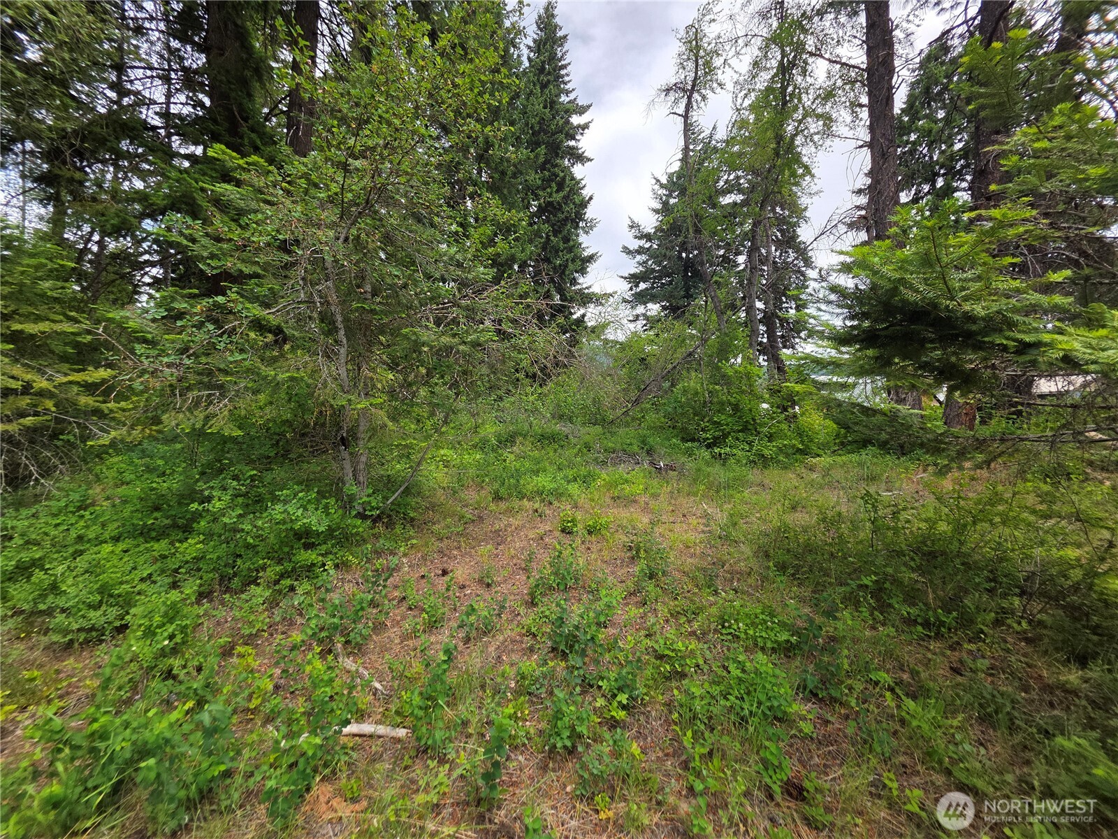 2 Nelson View Way Cle Elum, WA 98922 - Photo 16 of 39 Gallery Image 16