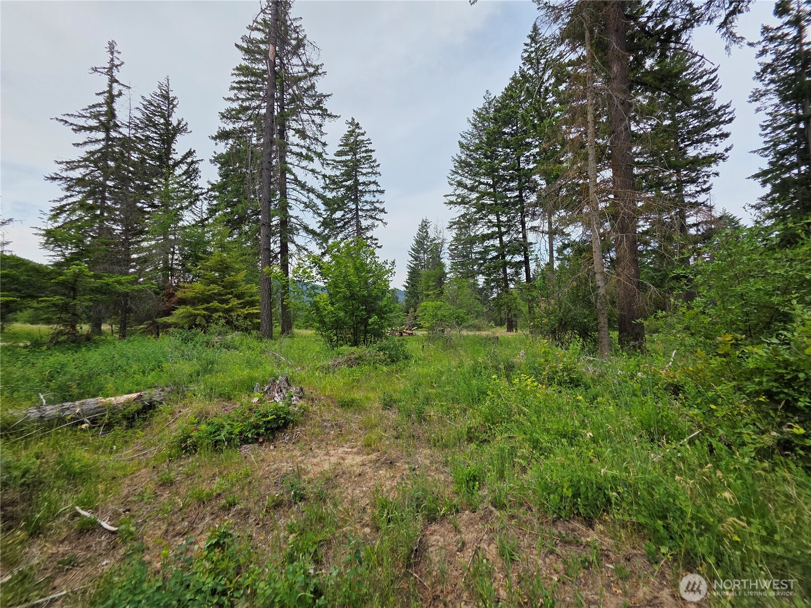 2 Nelson View Way Cle Elum, WA 98922 - Photo 21 of 39 Gallery Image 21