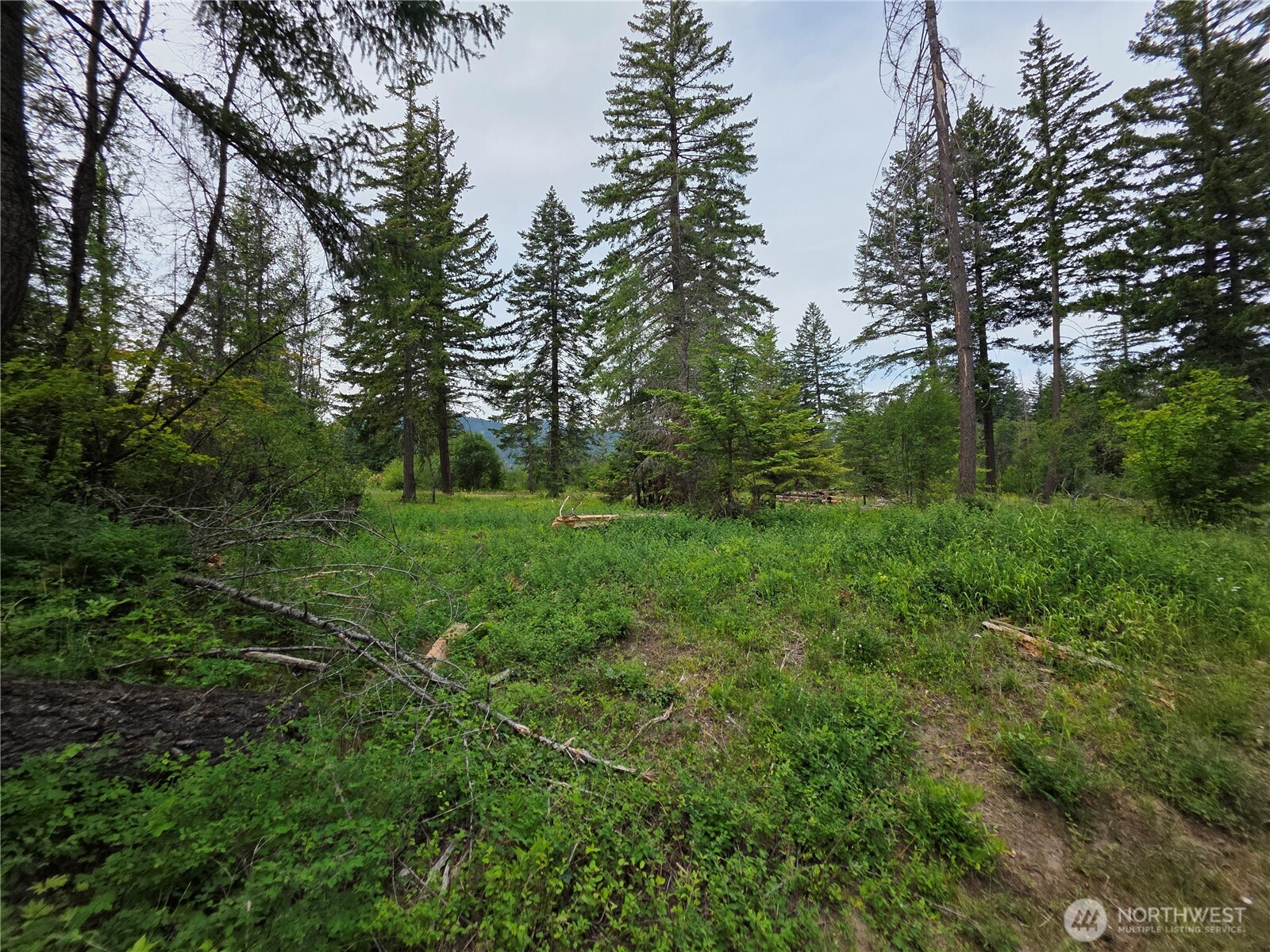 2 Nelson View Way Cle Elum, WA 98922 - Photo 23 of 39 Gallery Image 23
