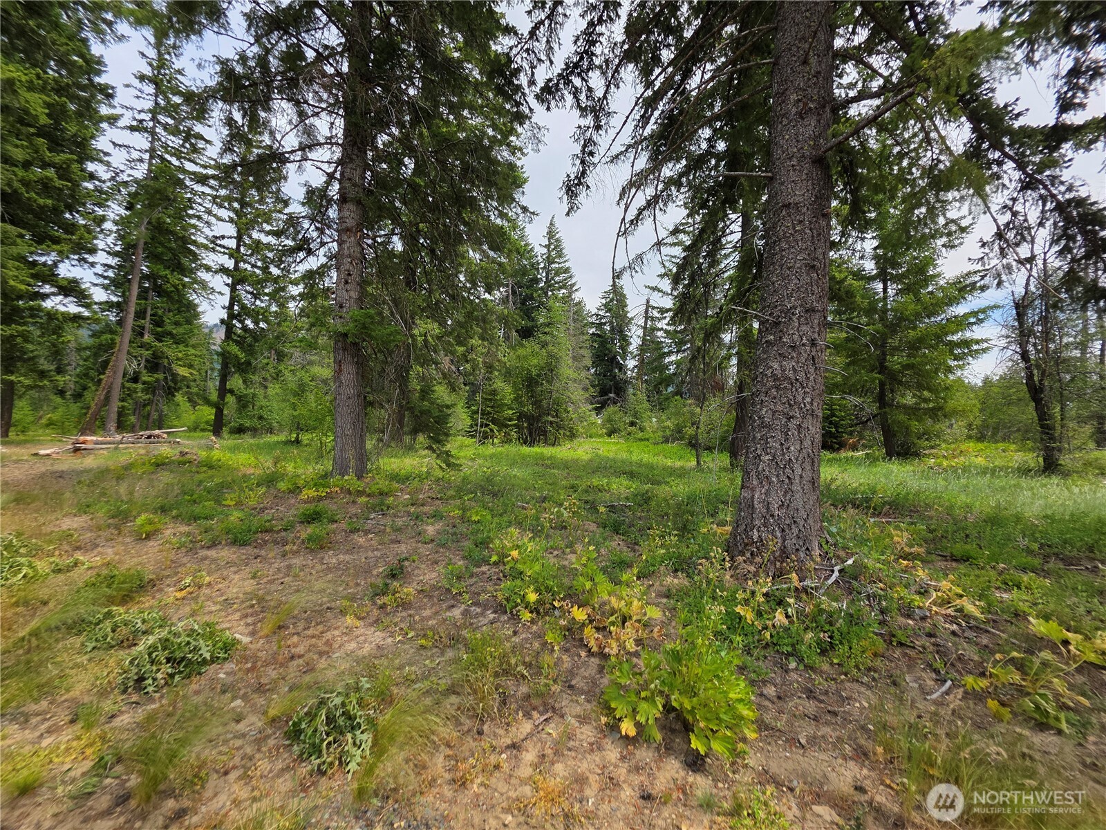 2 Nelson View Way Cle Elum, WA 98922 - Photo 29 of 39 Gallery Image 29