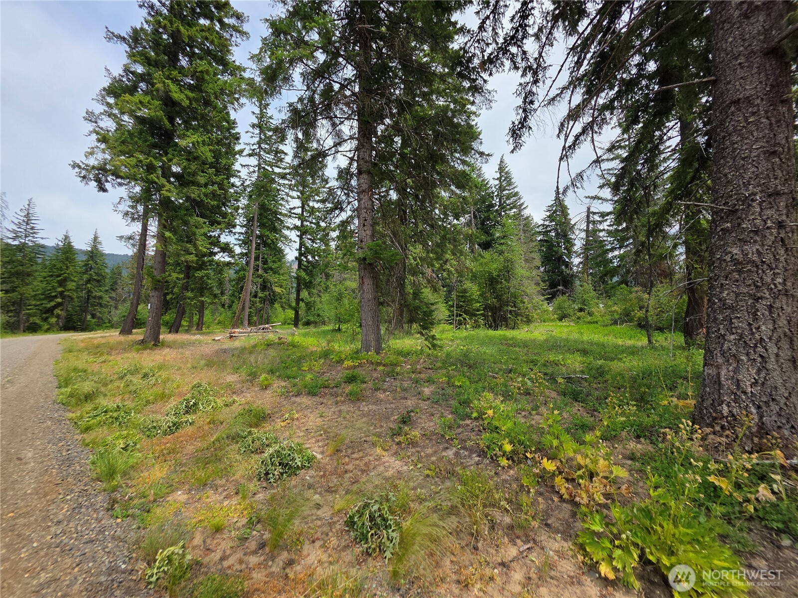 2 Nelson View Way Cle Elum, WA 98922 - Photo 30 of 39 Gallery Image 30