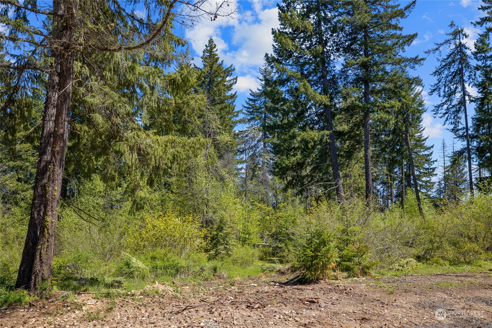 2 Nelson View Way Cle Elum, WA 98922 - Photo 36 of 39 Gallery Image 36