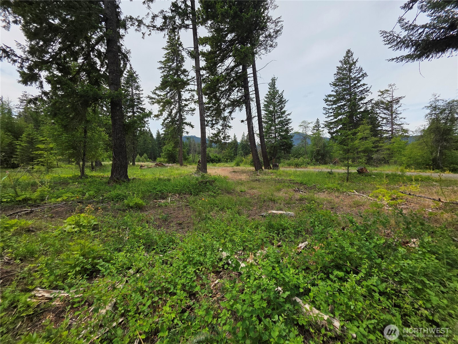 2 Nelson View Way Cle Elum, WA 98922 - Photo 7 of 39 Gallery Image 7