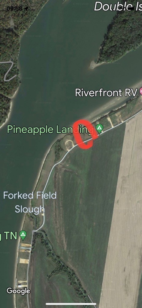 2485 Hardin Bottom River Road Clifton, TN 38425 - Photo 5 of 23 a view of a tennis court