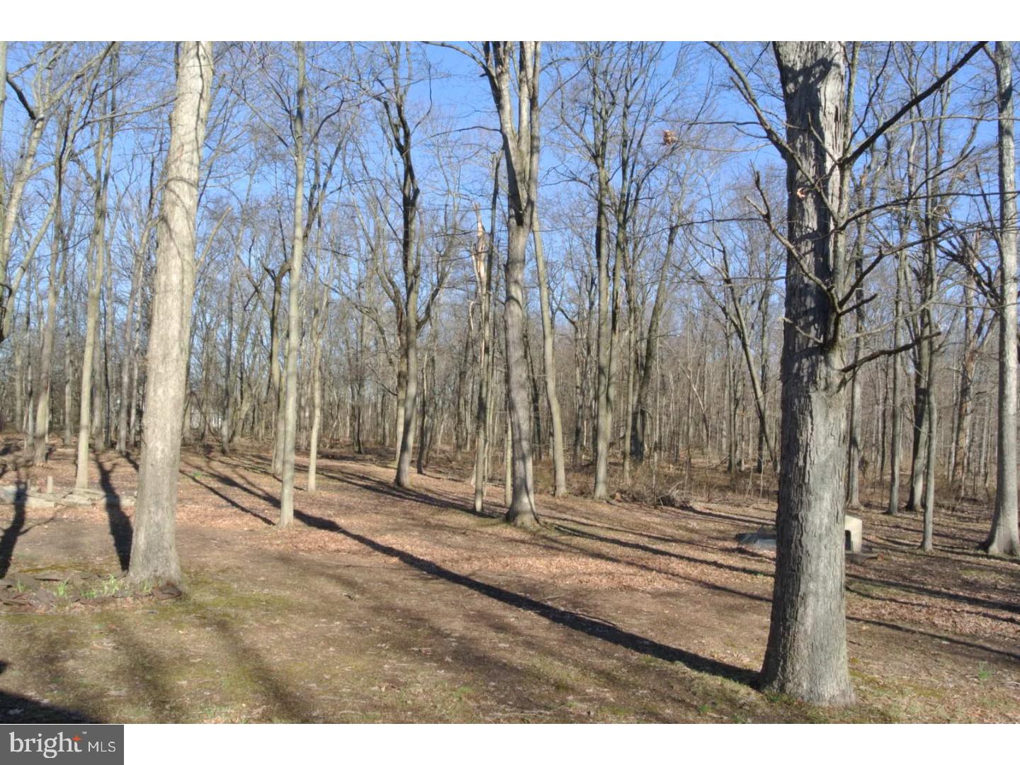 452 Stone Bridge Road Perkasie, PA 18944 - Photo 13 of 15 Back Yard