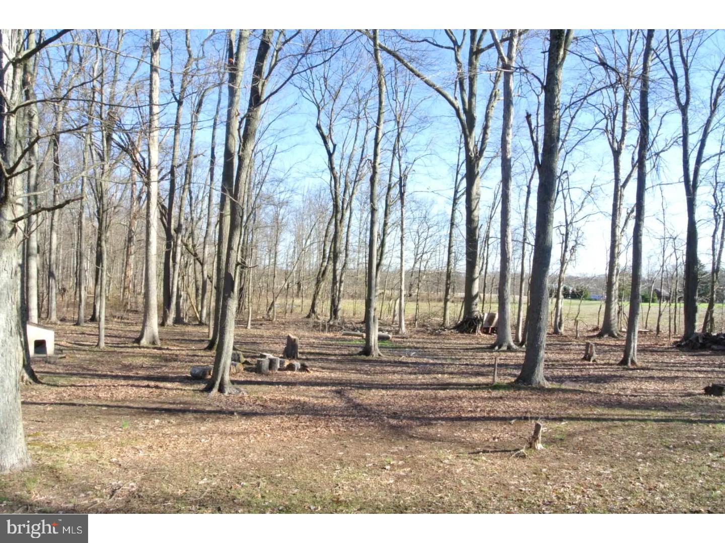 452 Stone Bridge Road Perkasie, PA 18944 - Photo 14 of 15 Back Yard