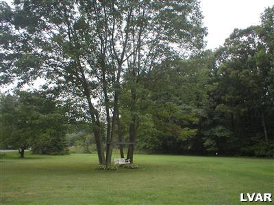 487 Male Road Wind Gap, PA 18091 - Photo 4 of 11 Yard