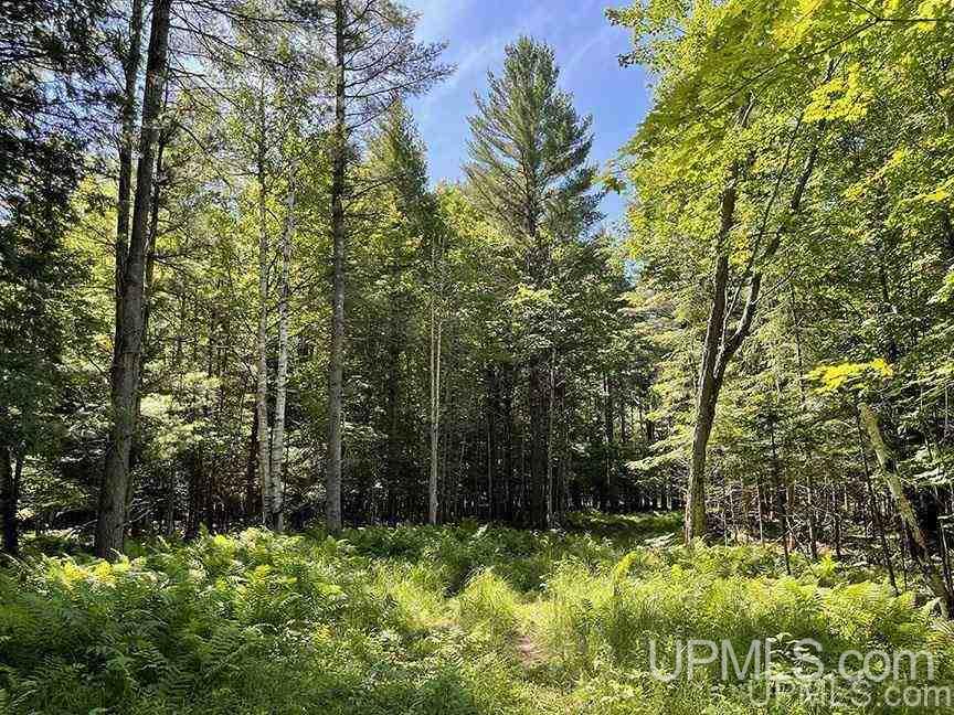 Tbd Chvala Road Manistique, MI 49854 - Photo 1 of 21 Gallery Image 1