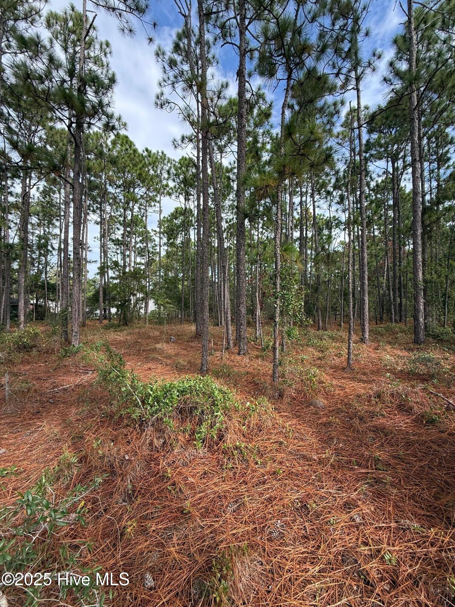 Lot 10 East Boiling Spring Road Southport, NC 28461 - Photo 5 of 6 IMG_4944